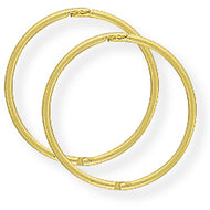 9ct Thin Hinged Sleeper Earrings